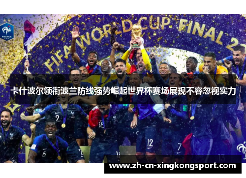 卡什波尔领衔波兰防线强势崛起世界杯赛场展现不容忽视实力