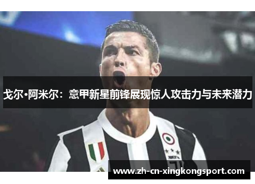 戈尔·阿米尔：意甲新星前锋展现惊人攻击力与未来潜力