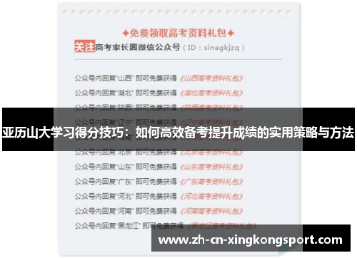 亚历山大学习得分技巧：如何高效备考提升成绩的实用策略与方法