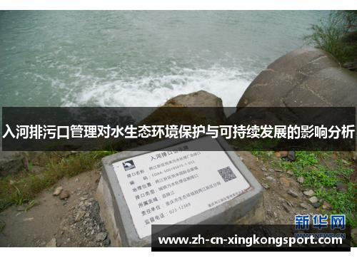 入河排污口管理对水生态环境保护与可持续发展的影响分析