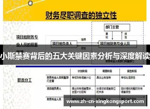 小斯禁赛背后的五大关键因素分析与深度解读