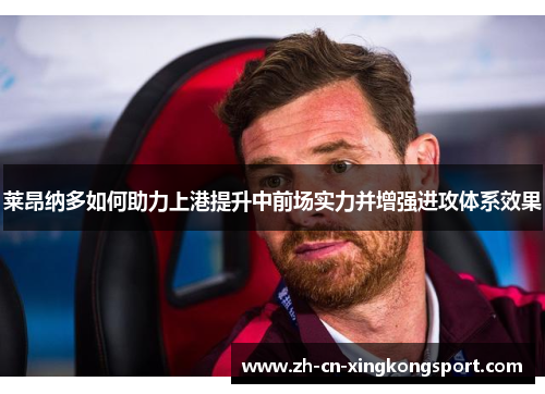 莱昂纳多如何助力上港提升中前场实力并增强进攻体系效果