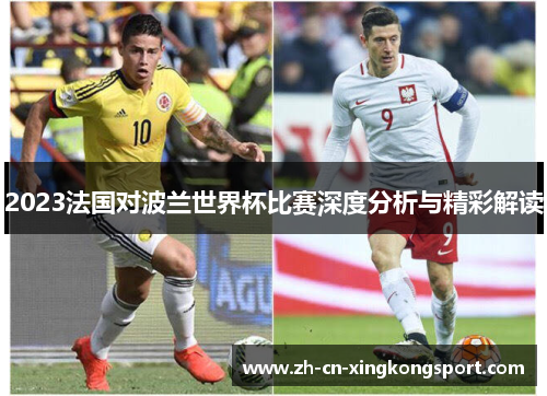 2023法国对波兰世界杯比赛深度分析与精彩解读