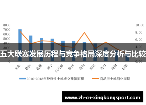 五大联赛发展历程与竞争格局深度分析与比较