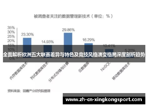 全面解析欧洲五大联赛差异与特色及竞技风格演变格局深度剖析趋势