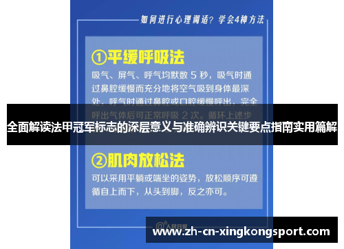 全面解读法甲冠军标志的深层意义与准确辨识关键要点指南实用篇解