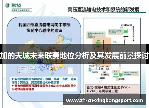 加的夫城未来联赛地位分析及其发展前景探讨