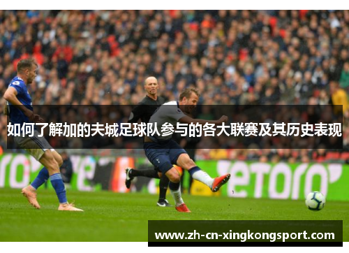 如何了解加的夫城足球队参与的各大联赛及其历史表现