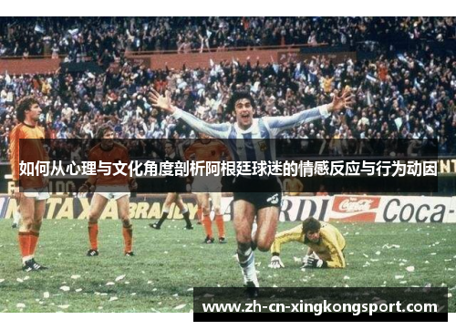 如何从心理与文化角度剖析阿根廷球迷的情感反应与行为动因