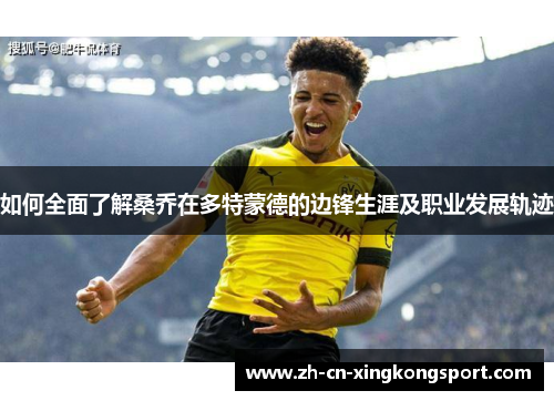 如何全面了解桑乔在多特蒙德的边锋生涯及职业发展轨迹 如何全面了解桑乔在多特蒙德的边锋生涯及职业发展轨迹