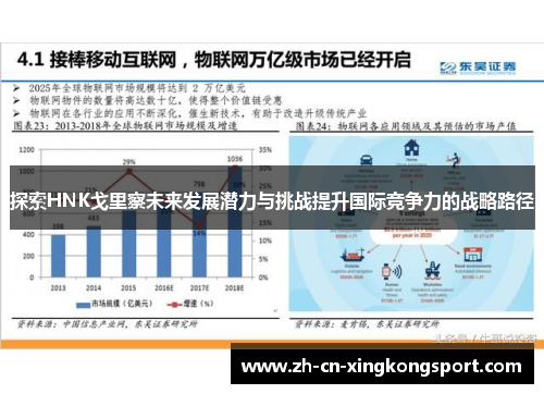 探索HNK戈里察未来发展潜力与挑战提升国际竞争力的战略路径